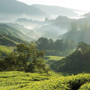 FOUR SEASONS CNX (1)